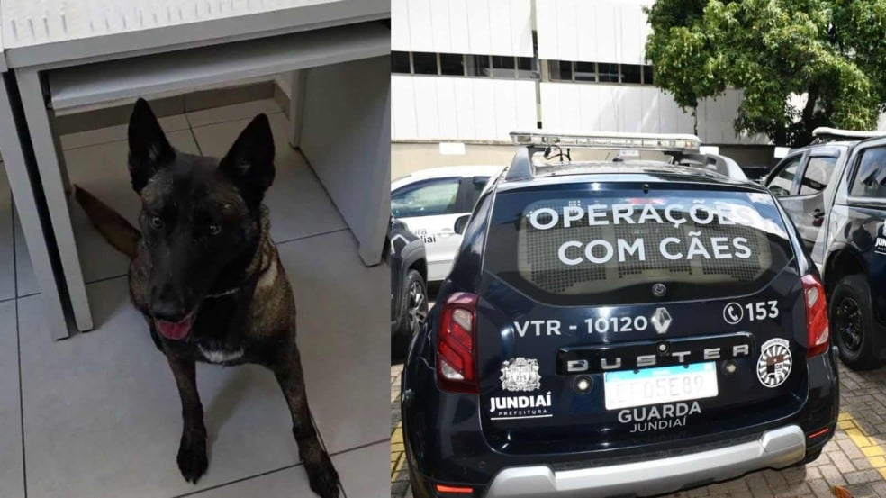 Cão K9 Darra da Guarda Municipal de Jundiaí e viatura do Canil com identificação “Operações com Cães” estacionada em frente à Prefeitura.