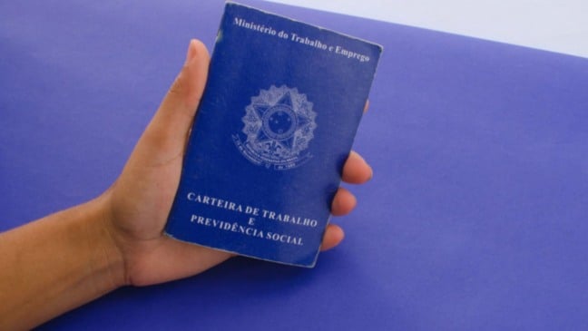 Mão segurando uma Carteira de Trabalho e Previdência Social azul sobre fundo roxo.