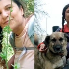 Foto: Reprodução/Reka Krieg/The Dodo