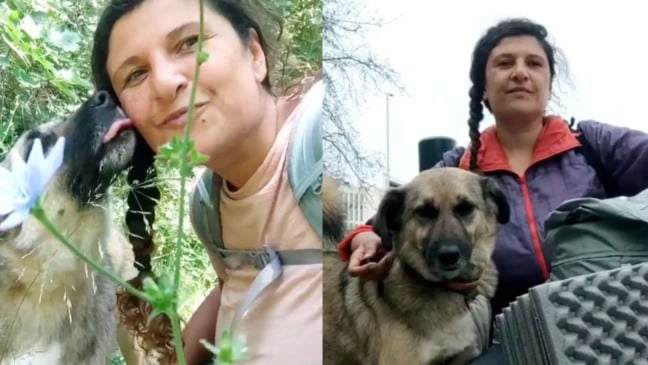 Foto: Reprodução/Reka Krieg/The Dodo