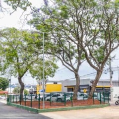 Área revitalizada da Praça Joaquim Soares Lemos em Jundiaí, com árvores floridas, via asfaltada, espaço cercado e veículos estacionados ao lado.