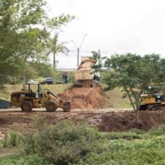 Máquinas realizam drenagem e movimentação de terra no Parque Botânico Tulipas em Jundiaí.