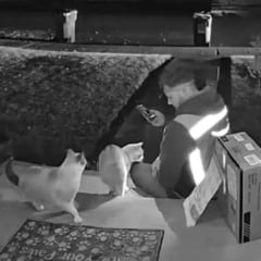 Entregador com gatinhos