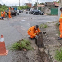 Limpeza boca de lobo