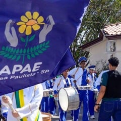 Bandeira APAE