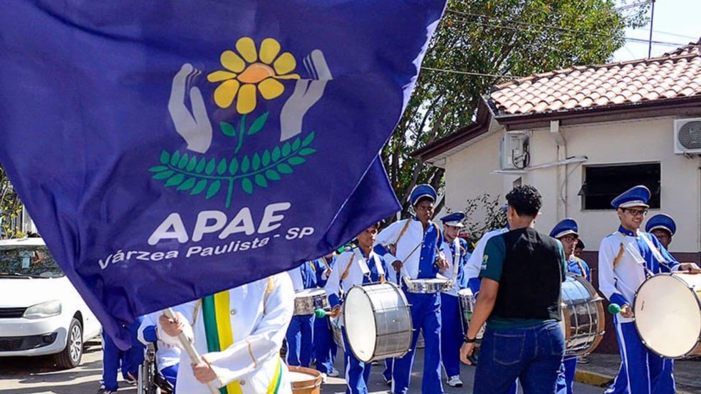 Bandeira APAE Bandeira APAE