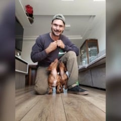 Adestrador ajoelhado em uma sala interage com dois filhotes de cachorro, demonstrando v&iacute;nculo e cuidado durante atividade de treinamento.
