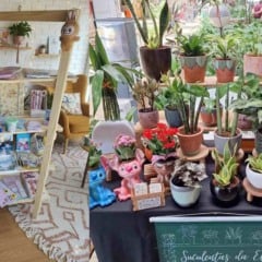 Imagem dividida em dois espaços: à esquerda, uma estante de madeira repleta de itens de papelaria criativa, como cadernos, blocos, canetas, adesivos e objetos decorativos, dispostos em um ambiente aconchegante com luzes e plantas. À direita, uma mesa e prateleiras exibem diversas plantas e suculentas em vasos artesanais coloridos, incluindo modelos temáticos e decorativos, em meio a um cenário com vegetação ao fundo.