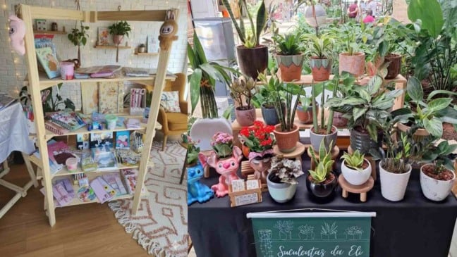 Imagem dividida em dois espaços: à esquerda, uma estante de madeira repleta de itens de papelaria criativa, como cadernos, blocos, canetas, adesivos e objetos decorativos, dispostos em um ambiente aconchegante com luzes e plantas. À direita, uma mesa e prateleiras exibem diversas plantas e suculentas em vasos artesanais coloridos, incluindo modelos temáticos e decorativos, em meio a um cenário com vegetação ao fundo.