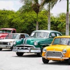 Fila de carros antigos em exposição ao ar livre, incluindo um Mini amarelo, um sedã verde, um BMW clássico e picapes vintage estacionados sob palmeiras.