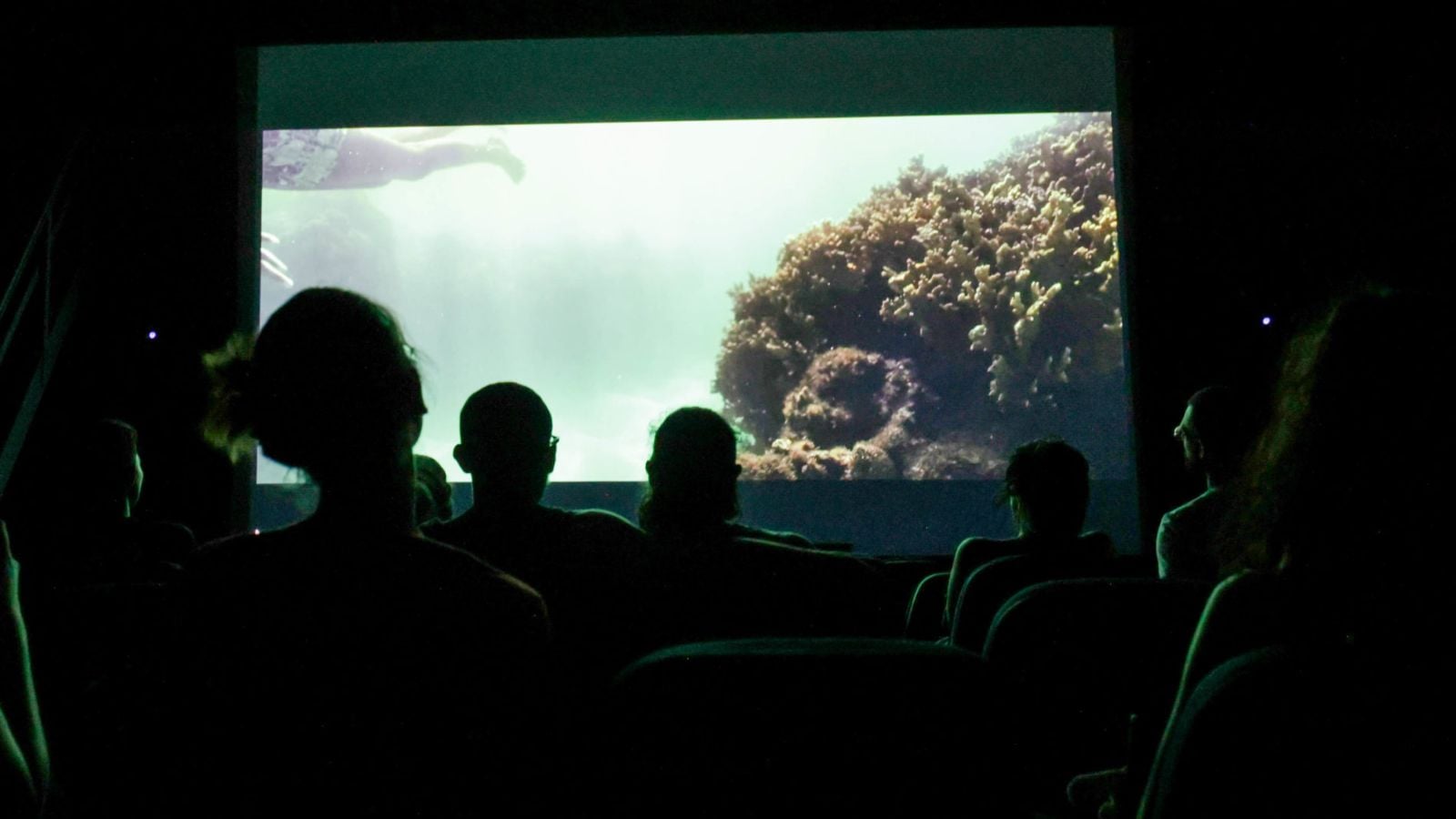 Pessoas assistem a um filme em uma sala de cinema escura, com cena subaquática projetada na tela.