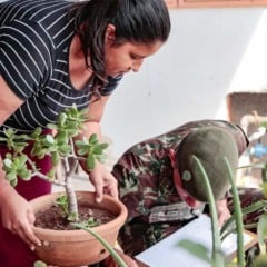 Moradora segura vaso de planta enquanto agente da Prefeitura e soldado do Exército verificam possíveis focos de dengue durante ação casa a casa em Jundiaí.