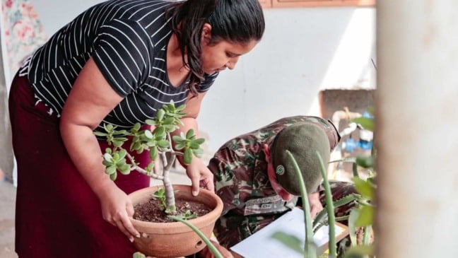 Moradora segura vaso de planta enquanto agente da Prefeitura e soldado do Exército verificam possíveis focos de dengue durante ação casa a casa em Jundiaí.