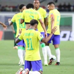 Jogador da Seleção Brasileira ajoelhado no gramado comemorando, com as mãos erguidas, enquanto outros atletas ao redor celebram usando o uniforme amarelo, azul e verde.