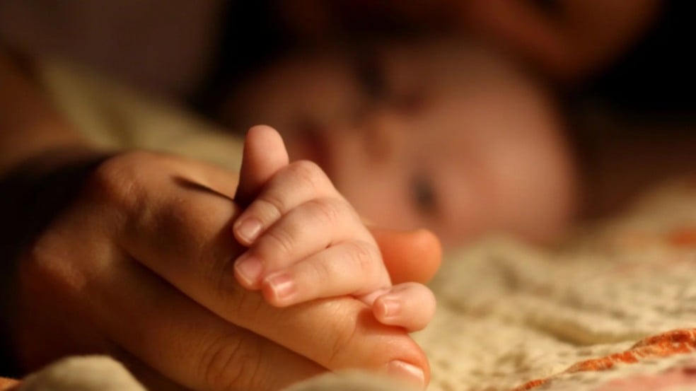 Mão de um bebê segurando o dedo de um adulto, simbolizando cuidado e proteção na relação entre mãe e filho. Mão de um bebê segurando o dedo de um adulto, simbolizando cuidado e proteção na relação entre mãe e filho.