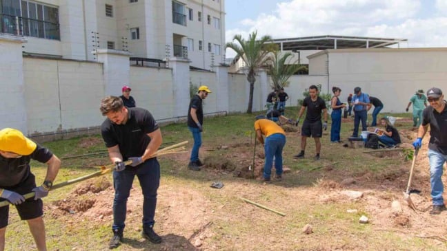 Grupo de funcionários da DHL e técnicos da Prefeitura de Jundiaí plantando mudas em área verde do bairro Eloy Chaves; pessoas utilizam pás e ferramentas enquanto preparam o solo sob céu ensolarado.