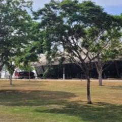 &Aacute;rea externa da Rodovi&aacute;ria de Jundia&iacute; com gramado, &aacute;rvores e o pr&eacute;dio do terminal ao fundo em dia ensolarado.