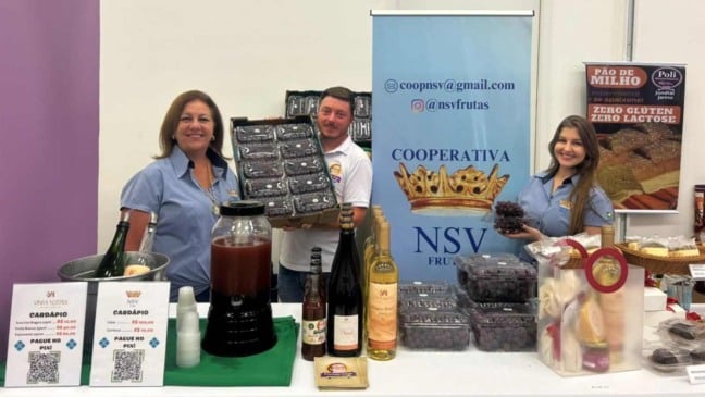 Três representantes da cooperativa NSV Frutas posam sorrindo em um estande com bandejas de Uva Niagara Rosada, garrafas de vinho, espumante e suco de uva durante o Encontro Nacional das Mulheres Cooperativistas.
