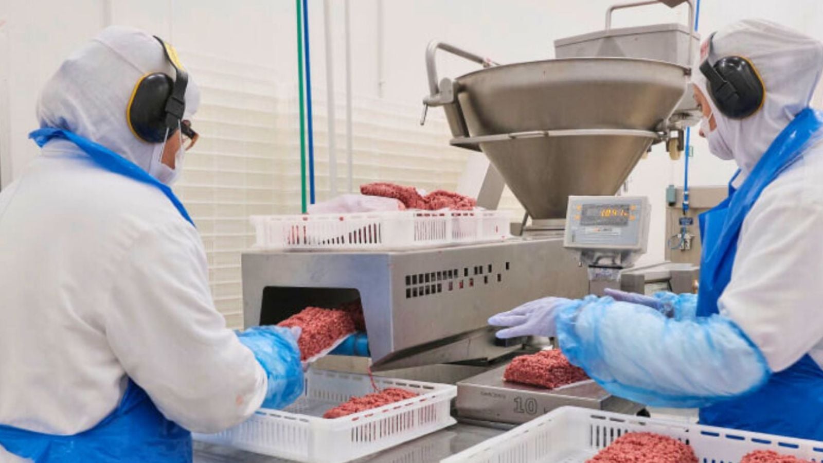 Funcionários da Alfama Foods