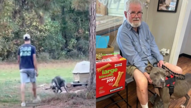 Foto: Reprodução/Northshore Humane Society/The Dodo