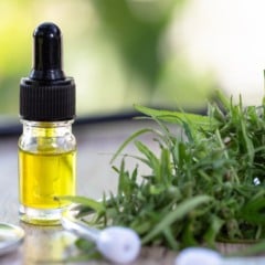 &Oacute;leo de Cannabis