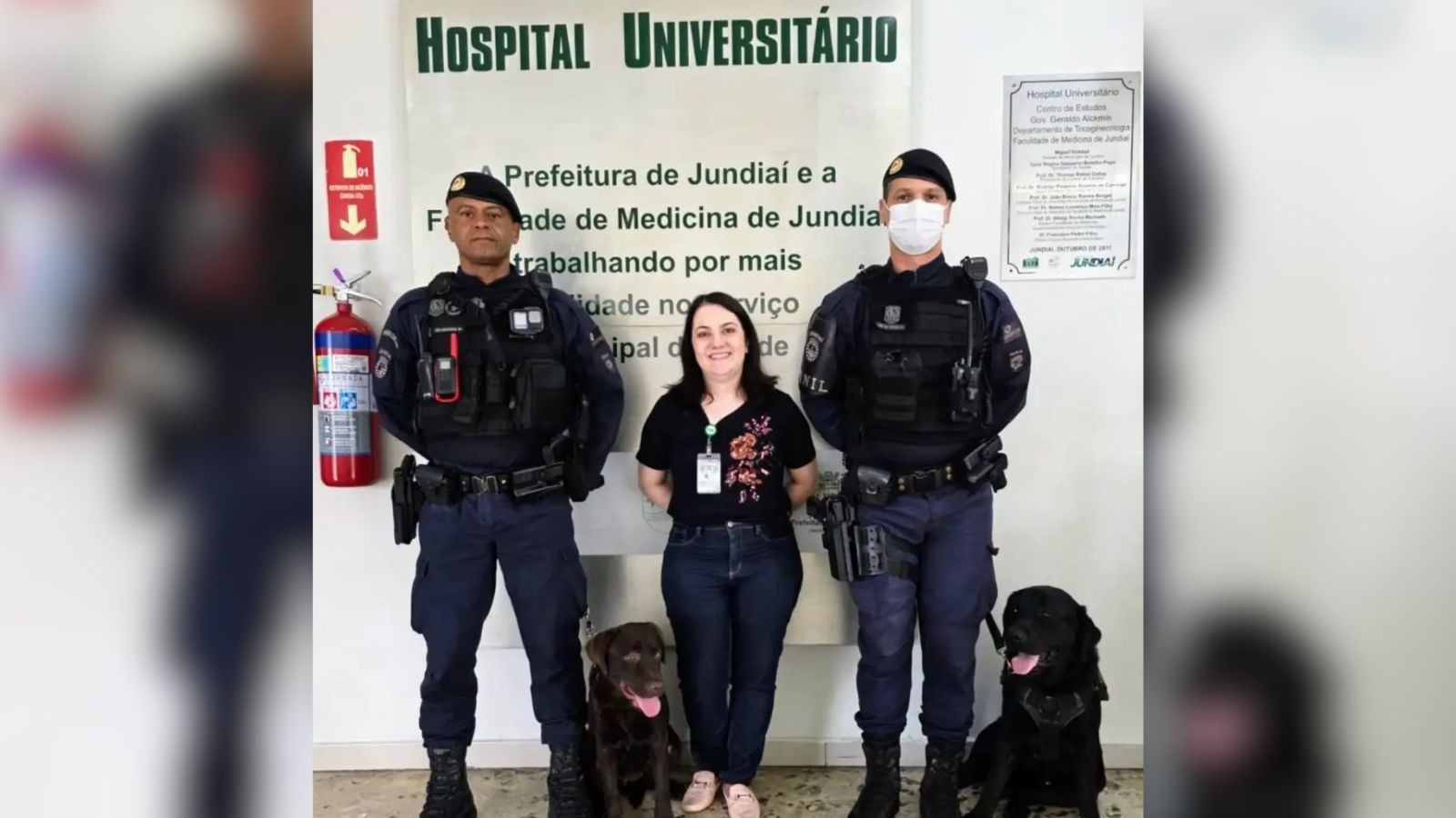 Cães do Canil da Guarda Municipal de Jundiaí