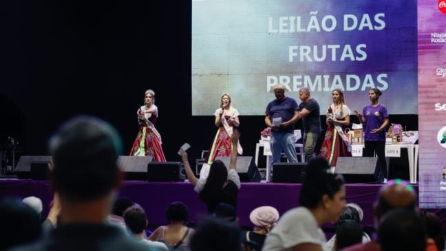 Leilão Festa da Uva