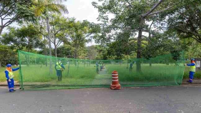 Equipes da Prefeitura de Jundiaí realizam roçagem em área verde com tela de proteção durante mutirão de zeladoria.