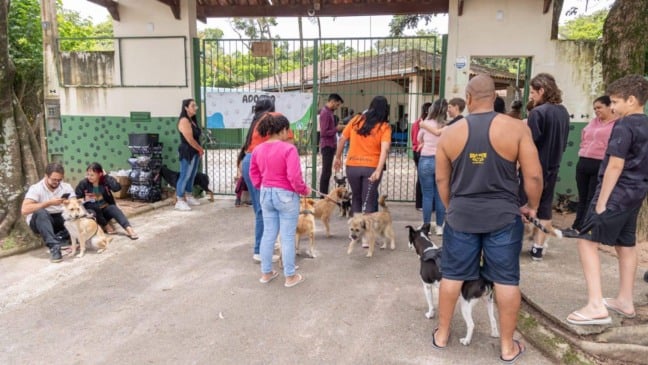 Mutirão de castração do DEBEA