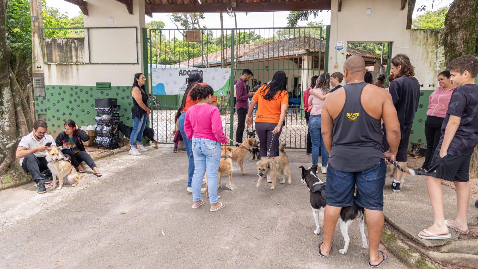 Mutirão de castração do DEBEA em Jundiaí
