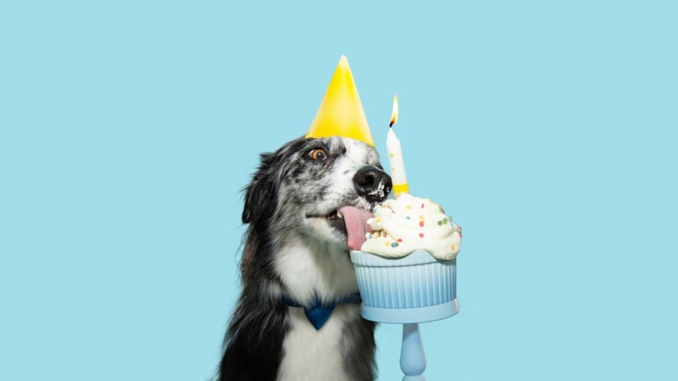 Foto: Depositphotos/ smrm1977 Foto: Depositphotos/ smrm1977