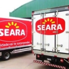 Caminh&otilde;es da Seara com ba&uacute;s vermelhos e brancos, exibindo o logotipo da marca, estacionados em &aacute;rea industrial para transporte e distribui&ccedil;&atilde;o de alimentos.