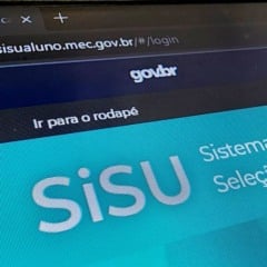 Sisu