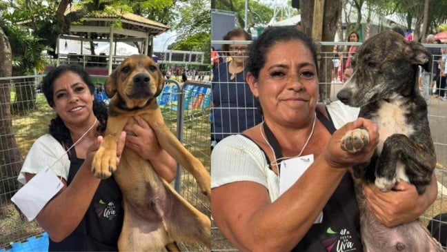 Simone, protetora de animais, segura dois cães disponíveis para adoção na Festa da Uva de Jundiaí.