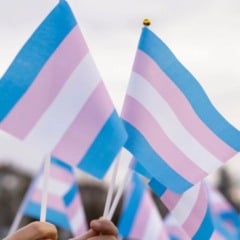 Bandeiras do orgulho trans sendo erguidas por participantes em uma manifesta&ccedil;&atilde;o p&uacute;blica, simbolizando visibilidade, resist&ecirc;ncia e luta por direitos.