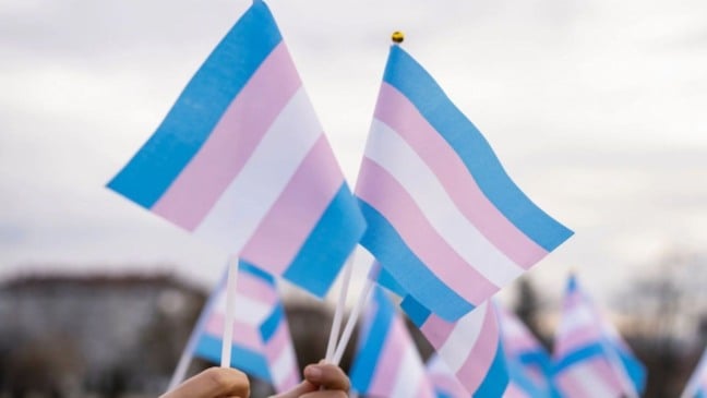 Bandeiras do orgulho trans sendo erguidas por participantes em uma manifestação pública, simbolizando visibilidade, resistência e luta por direitos.