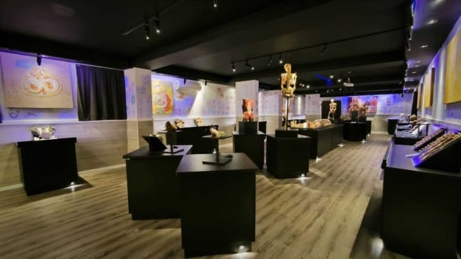 Vista interna do Museu do Corpo Humano em Jundiaí com peças anatômicas, esqueletos e obras artísticas.