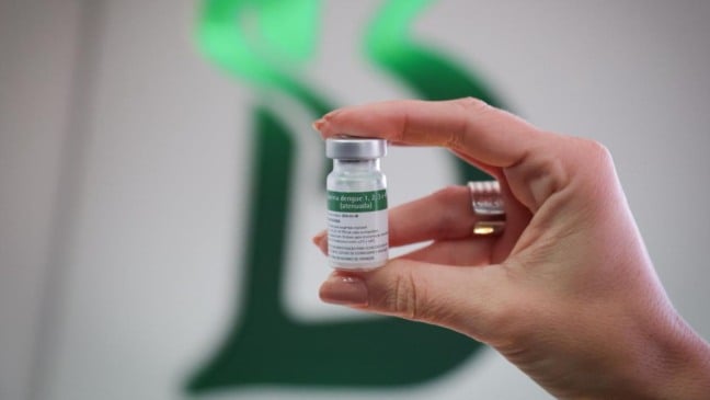 Dose única contra a dengue
