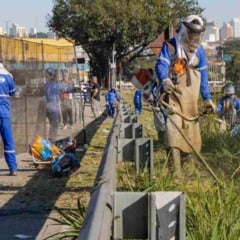 Equipes da zeladoria urbana realizam roçagem e limpeza às margens de avenida em Jundiaí, com uso de equipamentos de proteção e máquinas de corte de vegetação.