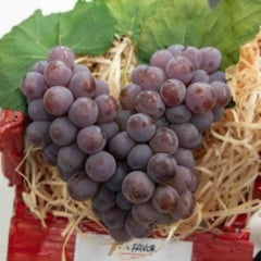 Cacho de uva Niagara Rosada de Jundia&iacute; exposto em caixa de madeira, destacando a fruta s&iacute;mbolo da tradi&ccedil;&atilde;o agr&iacute;cola local.