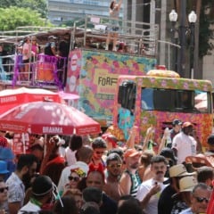 Folia